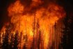 ‘Apocalyptic’ Wildfires Raging Through California; 400,000 Without Power