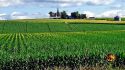 Chinese Nationals Charged in Plot to Smuggle ‘Agroterrorism Weapon’ Into U.S.