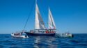Climate Activist Thunberg And Others Sailing To Gaza Despite Warnings