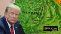 Trump Administration Moves to Block Gender Ideology in California’s Federally Funded Sex Ed Program