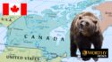 Bear Attack On Schoolchildren Shocks Remote Canadian Community